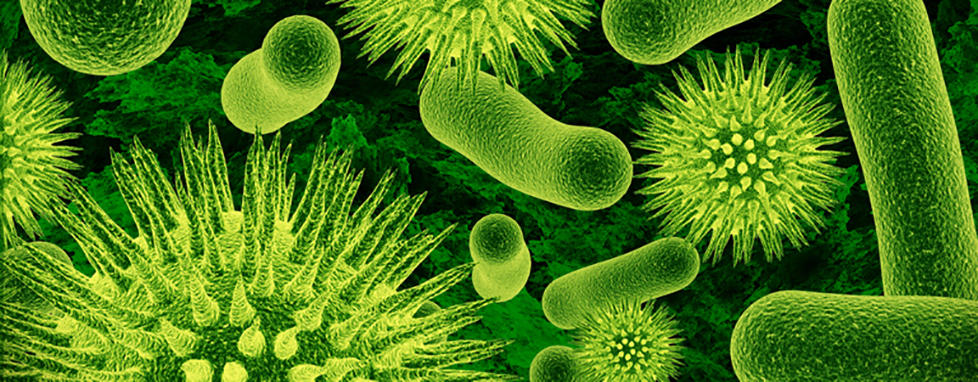 Microbial Sciences Institute - Home
